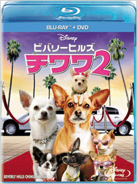 �ӥХ꡼�ҥ륺�������2 �֥롼�쥤+DVD���å�