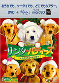 ���󥿡��Хǥ�������������5ɤ�������� DVD+microSD���å�